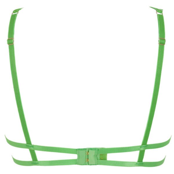 AUDREY BRA FOREST GREEN - Image 3