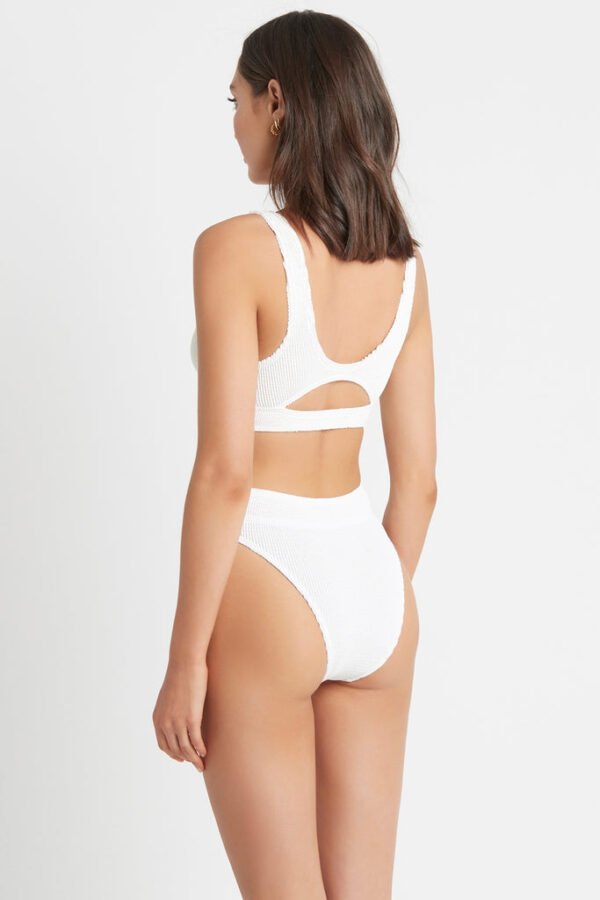 savannah brief eco